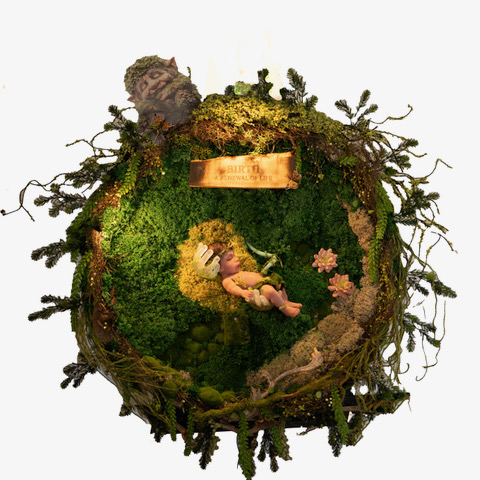 Birth: A Renewal of Life